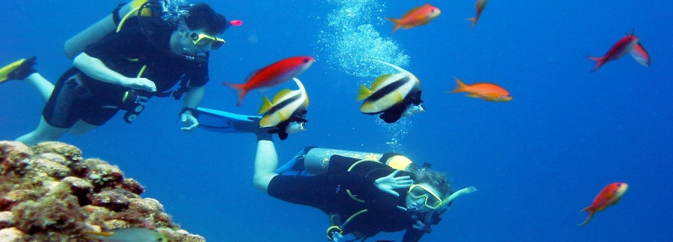 discover scuba cancun