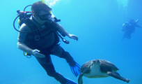 Aquaworld Cancun Discover Scuba Dive
