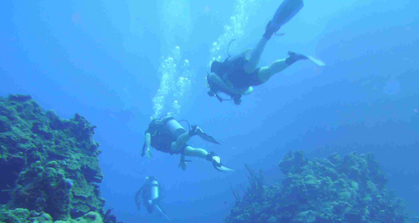 Aquaworld Cancun e-Learning Open Water Certification