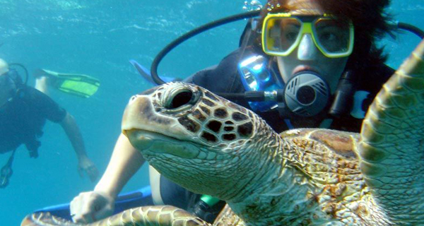 scuba diving in cancun reefs