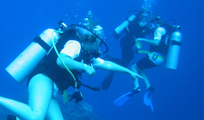 Aquaworld Cozumel Dive Trip from Cancun