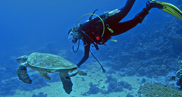 dive cozumel from cancun